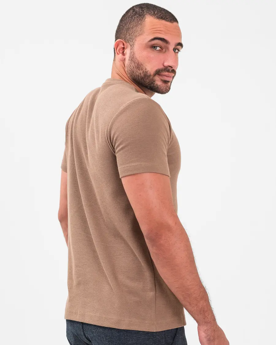 Camiseta Frísio