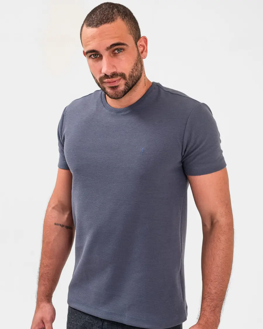 Camiseta Frísio