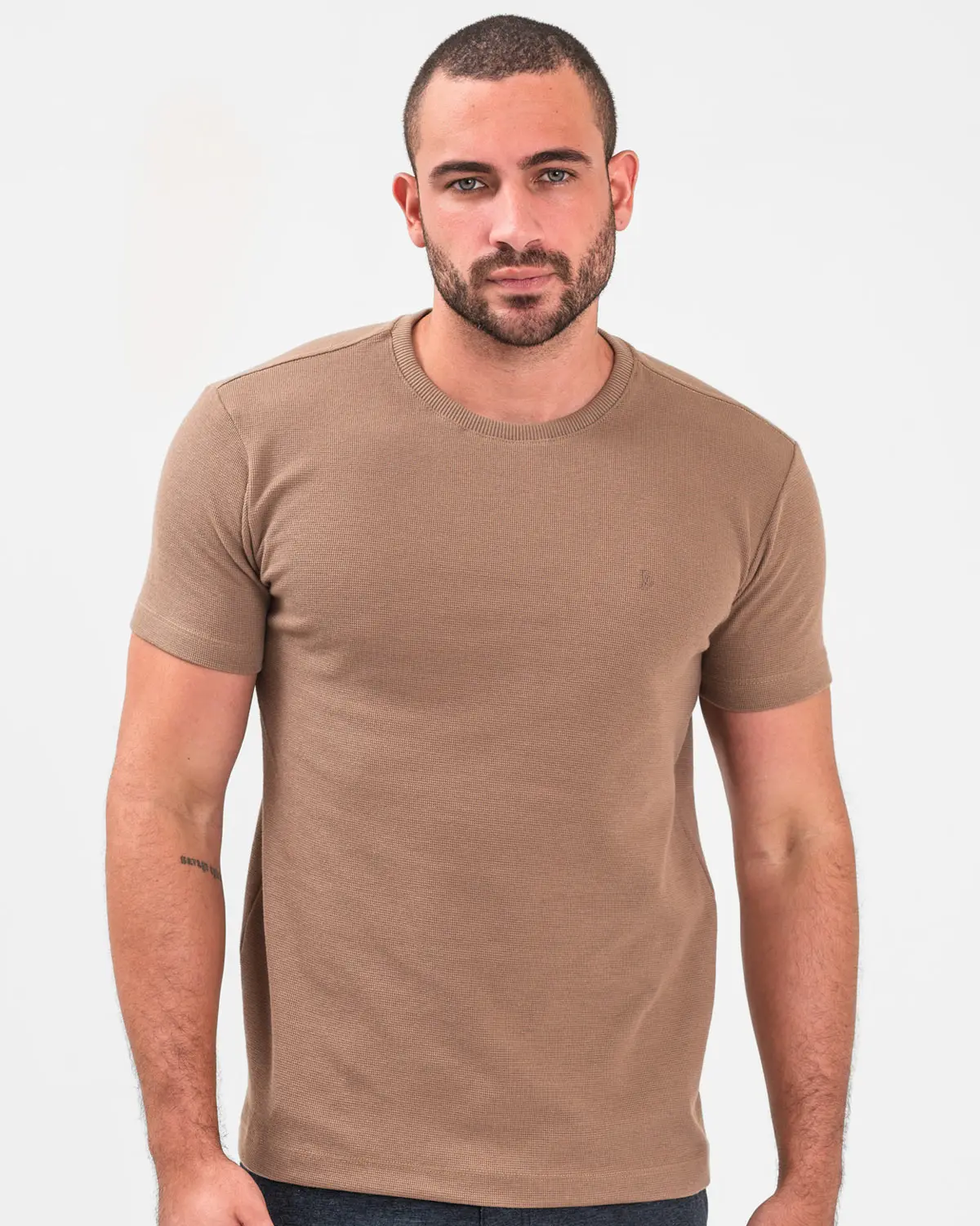 Camiseta Frísio