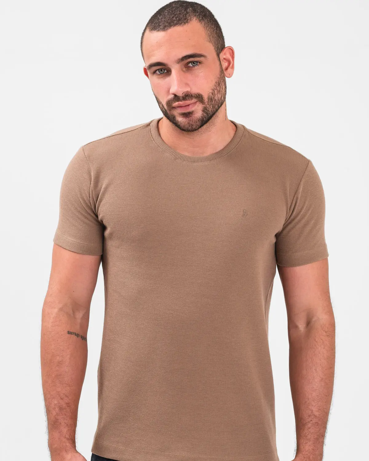 Camiseta Frísio