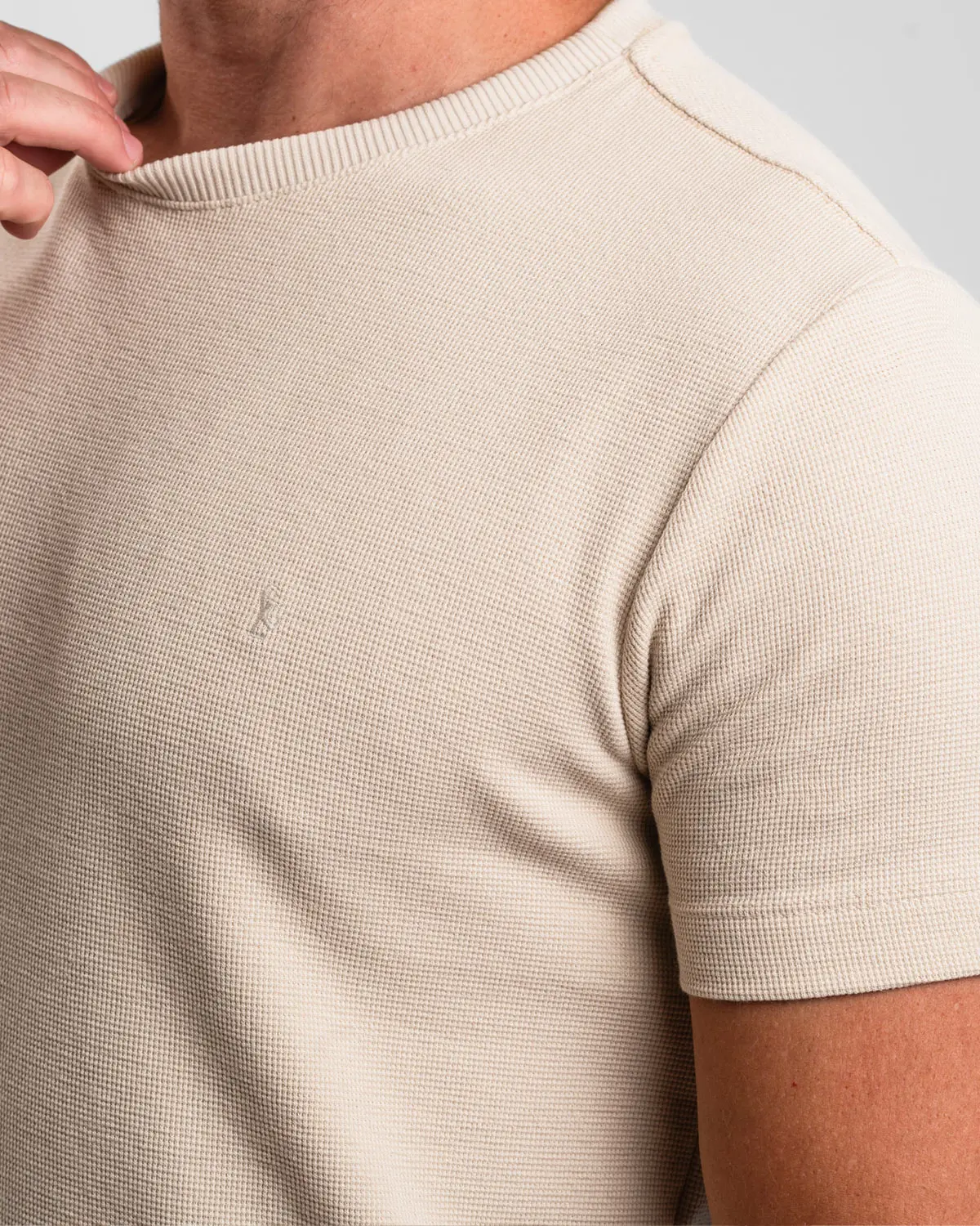 Camiseta Frísio