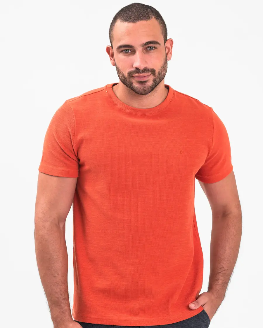 Tshirt Struttura