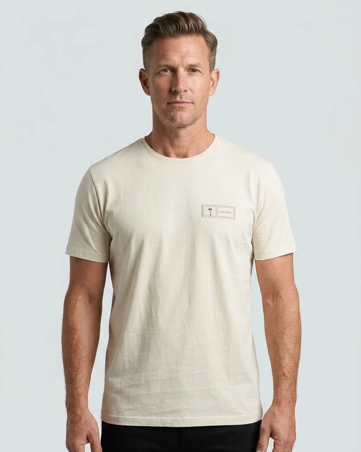 Camiseta Estampa Postale