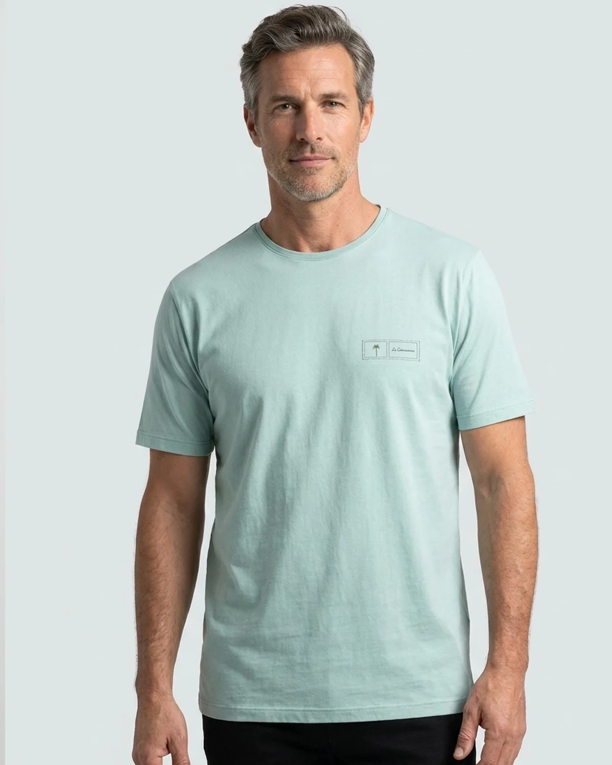 Camiseta Estampa Postale
